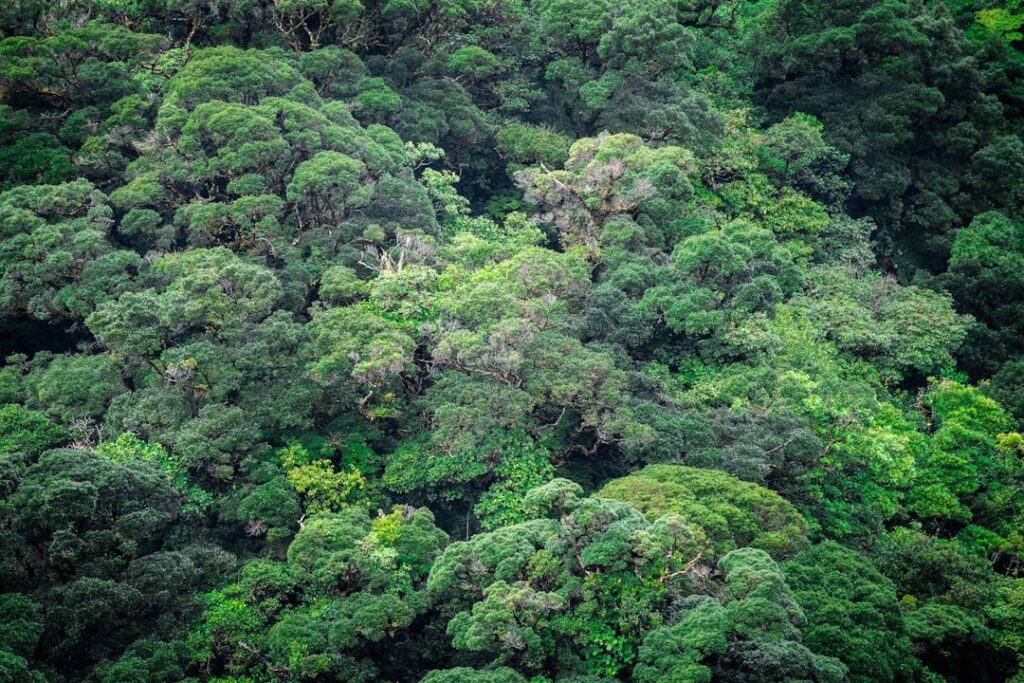 eco friendly tourism