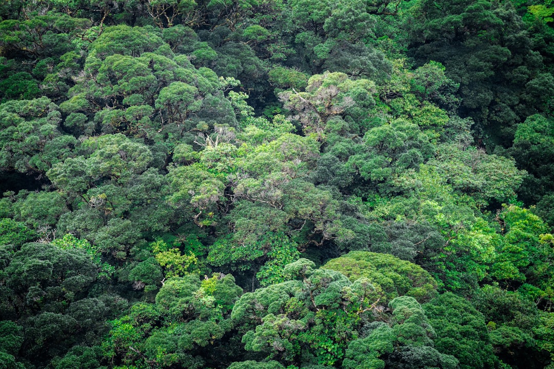 eco friendly tourism
