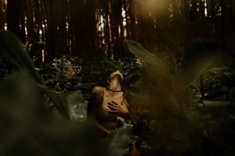Forest bathing retreats