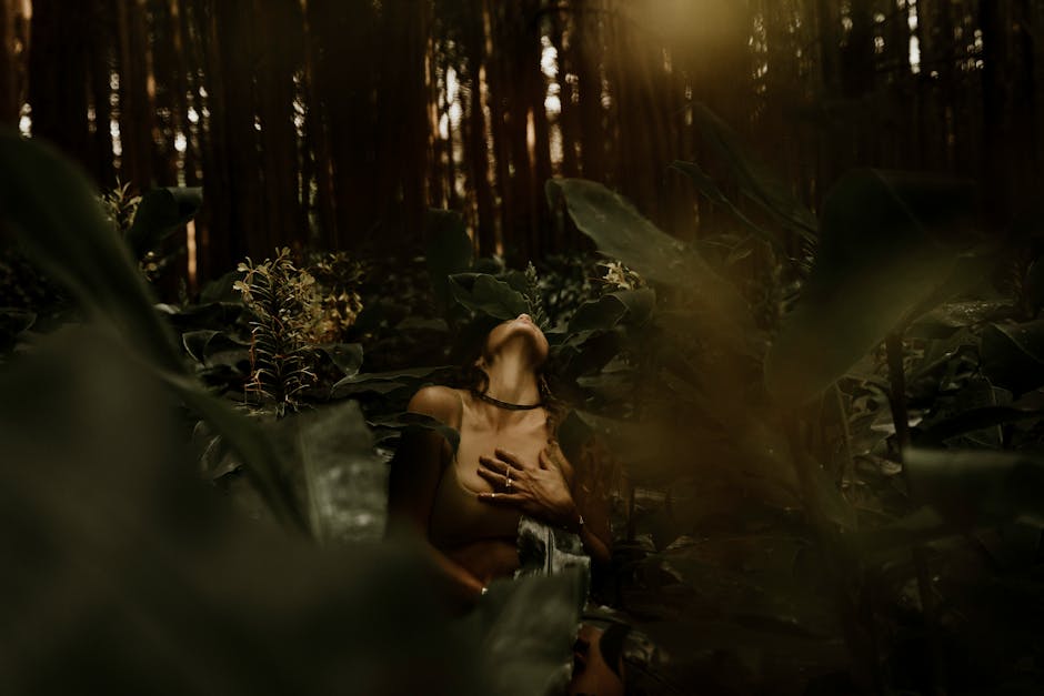 Forest bathing retreats