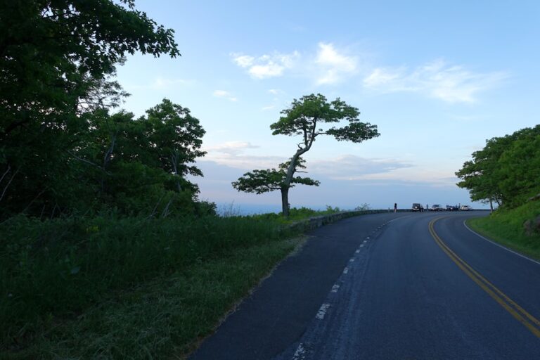 Off the beaten path